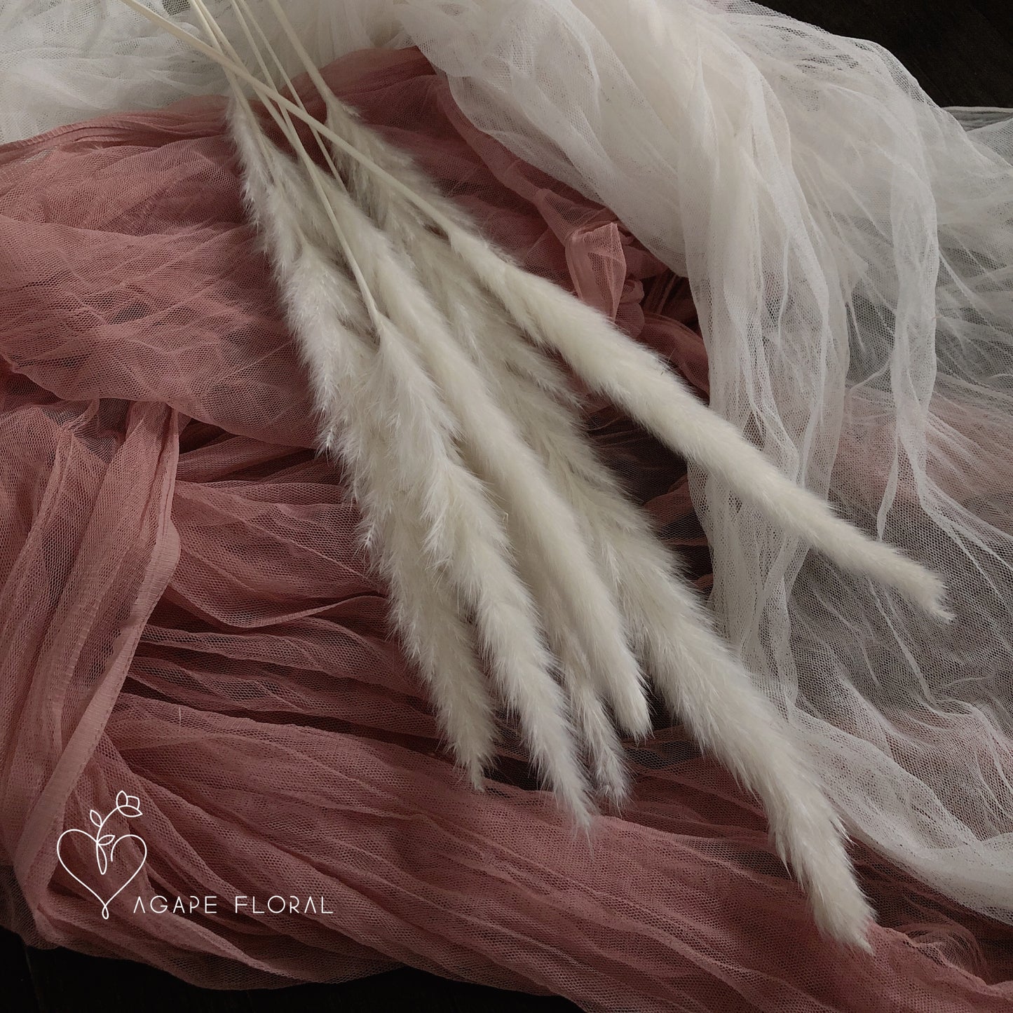 Small White Pampas Grass