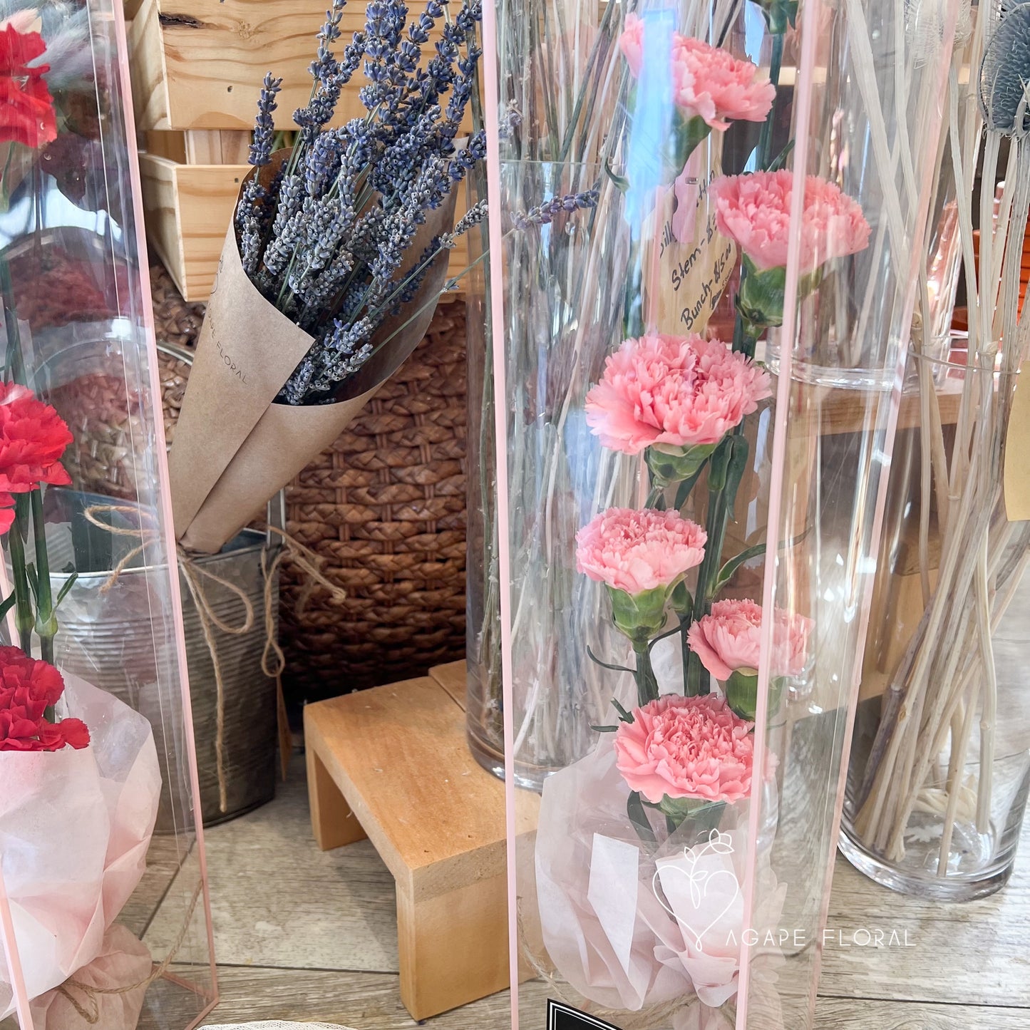 Mother's Day Pink Carnation Carry Me Away