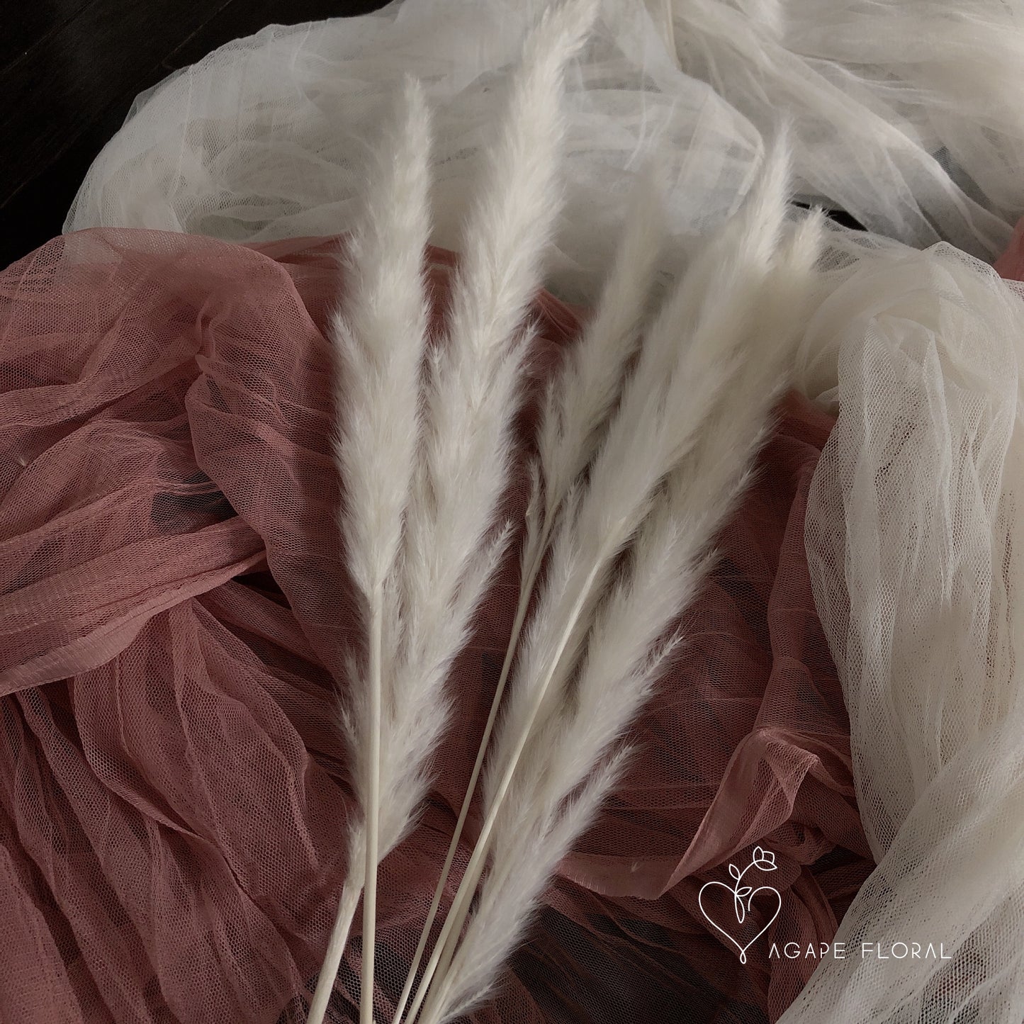 Small White Pampas Grass