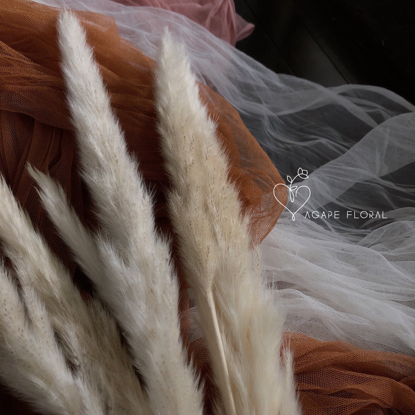 Small Cream Pampas Grass