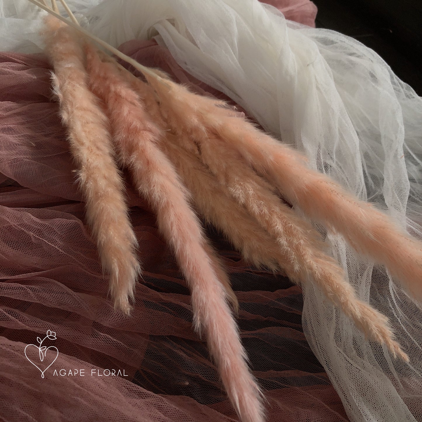 Small Pink Pampas Grass