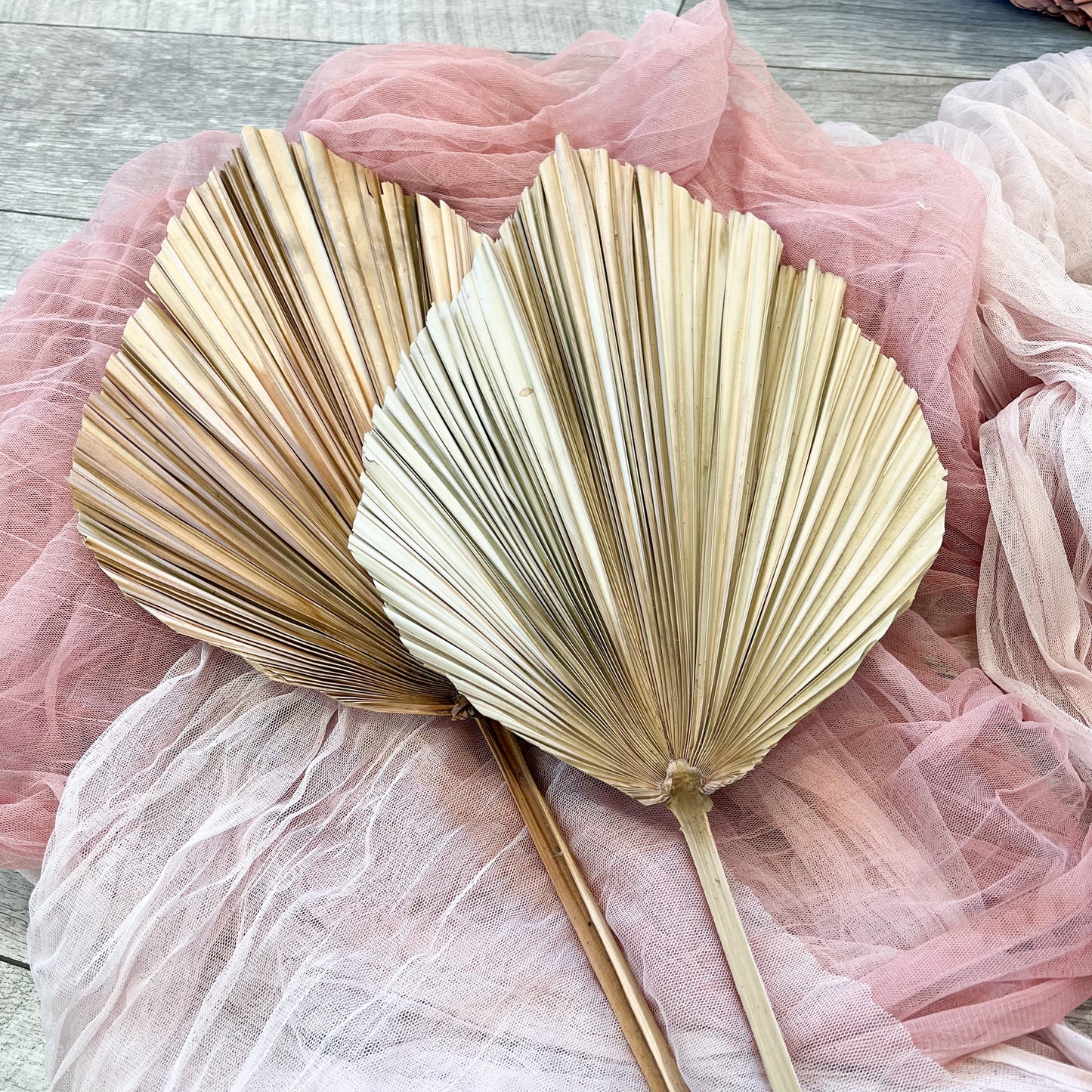 Single Natural Anahaw Leaf