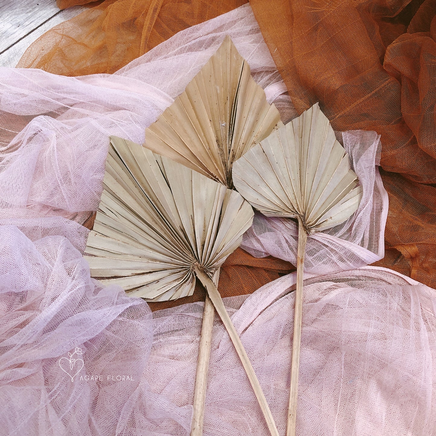 Small Natural Palm Spear