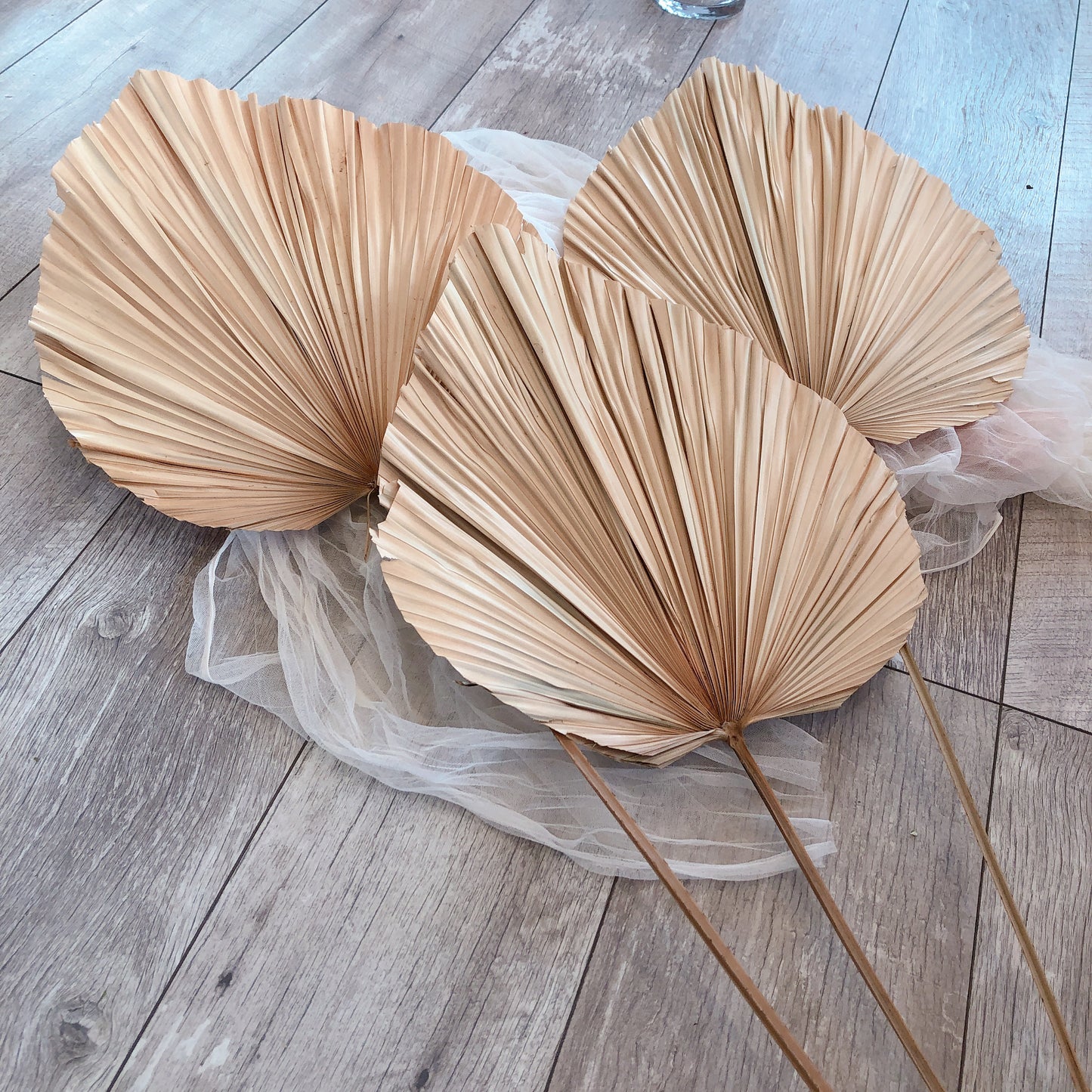 Large Natural Anahaw Leaf