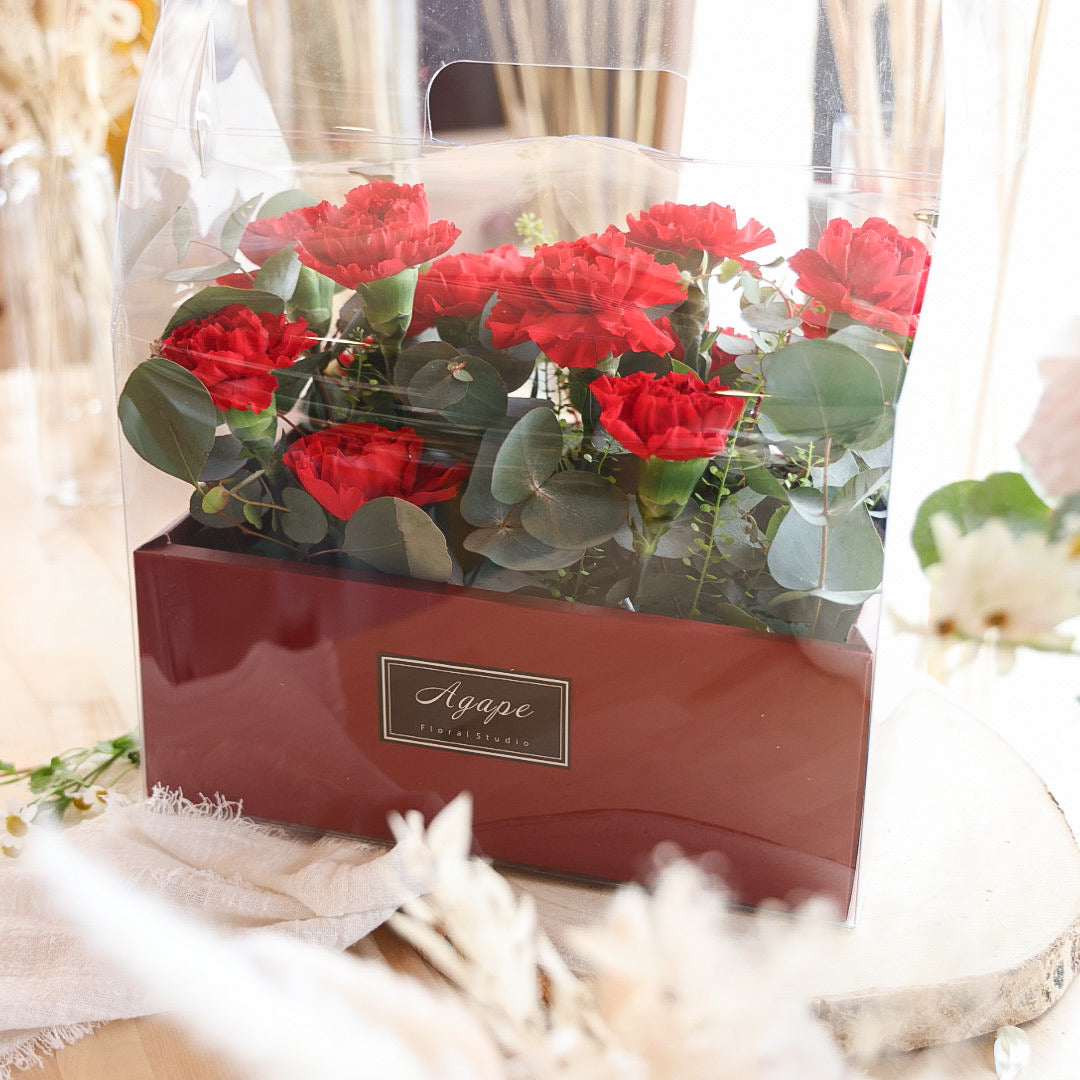 Mother's Day Red Carnation Basket