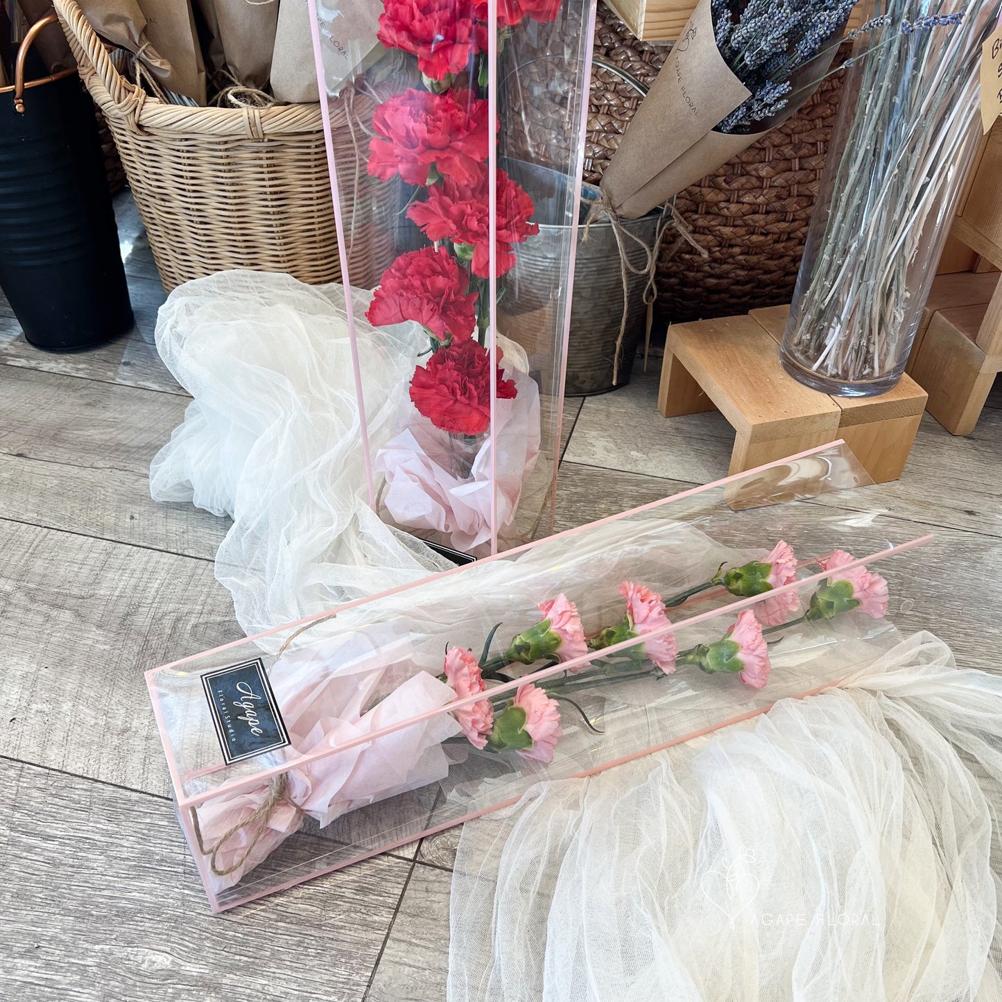 Mother's Day Red Carnation Carry Me Away