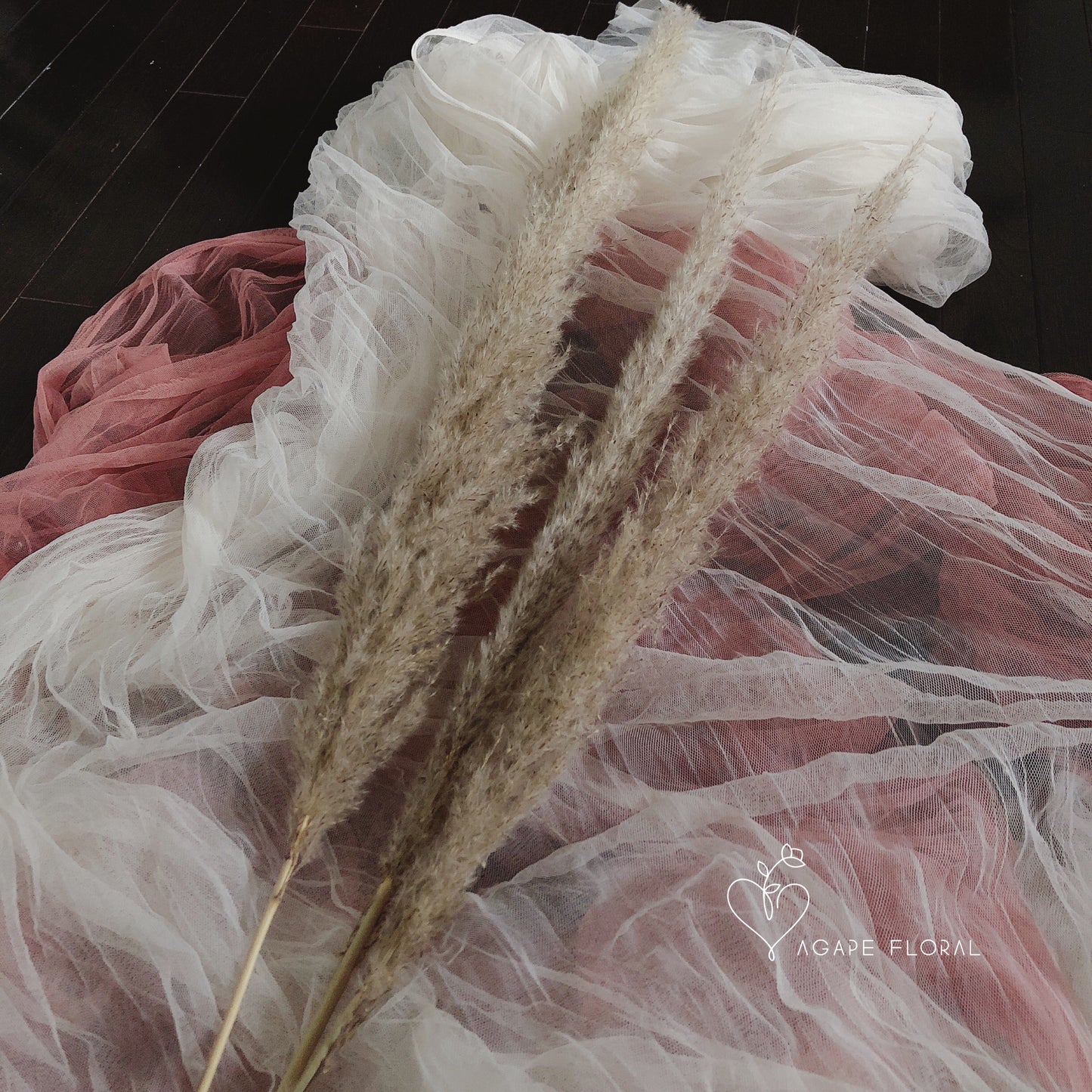 Medium Grey Pampas Grass