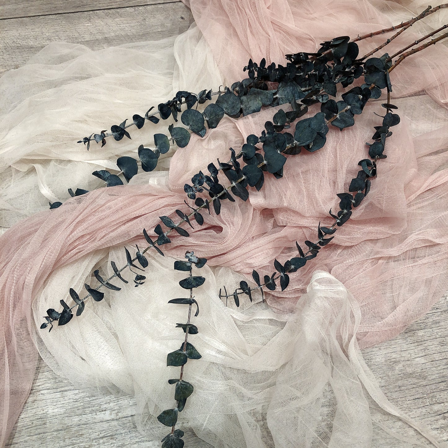 Dried & Preserved Eucalyptus Blue