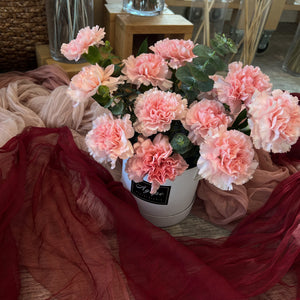 Pink Carnation Bucket