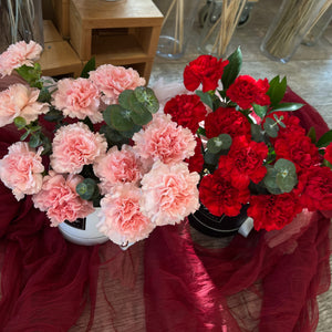 Pink Carnation Bucket