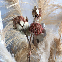 Load image into Gallery viewer, Banksia Coccinea Natural