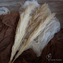 Load image into Gallery viewer, Large Cream Pampas Grass