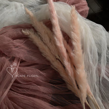 Load image into Gallery viewer, Small Pink Pampas Grass