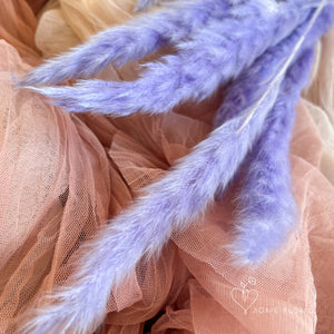 Small Lilac Pampas Grass
