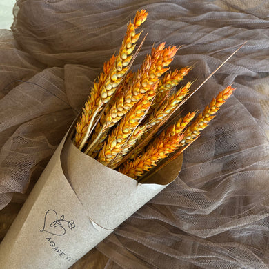 Orange Wheat