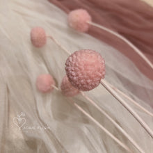 Load image into Gallery viewer, Light Pink Billy Buttons