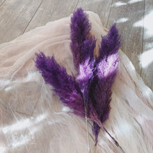 Load image into Gallery viewer, Medium Purple Pampas Grass