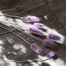 Load image into Gallery viewer, Cardo Pod Purple Stem