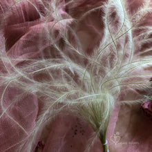 Load image into Gallery viewer, Natural Stipa Bundle