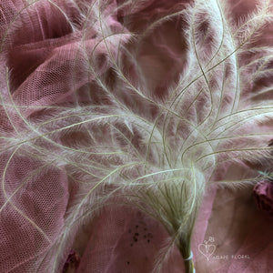 Natural Stipa Bundle