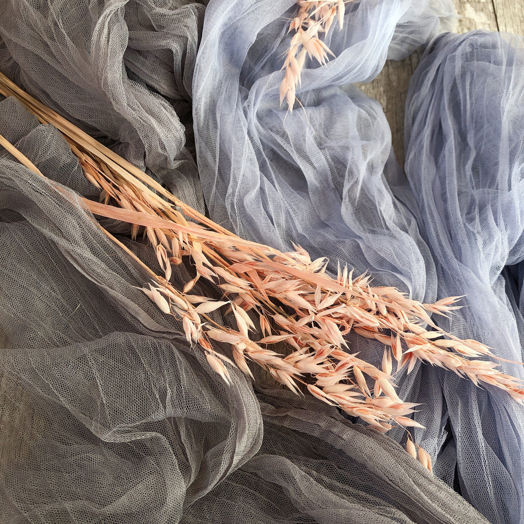 Avena Wild Pink