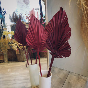 Red Palm Spear