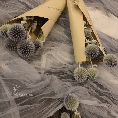 Preserved Echinops