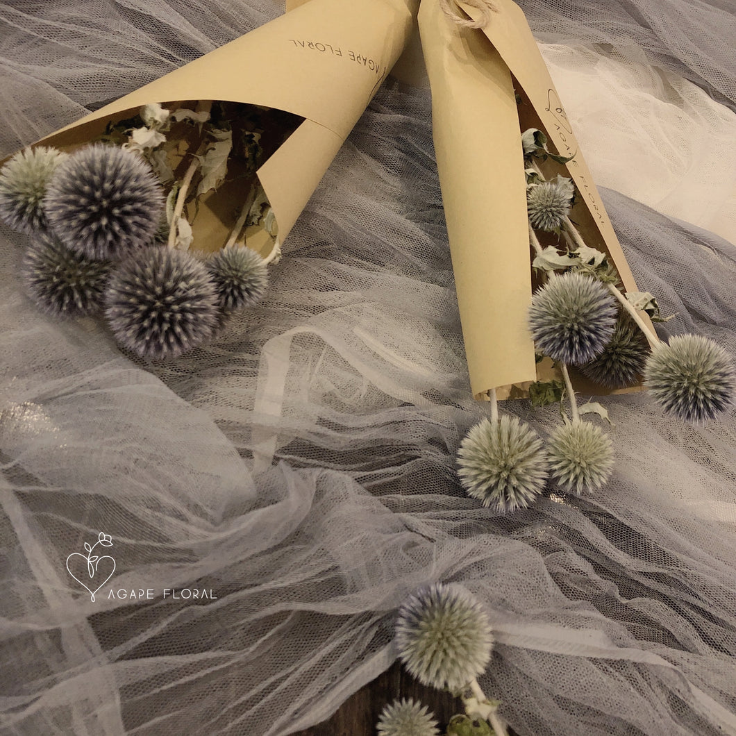 Preserved Echinops