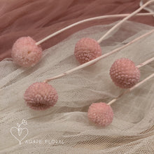 Load image into Gallery viewer, Light Pink Billy Buttons