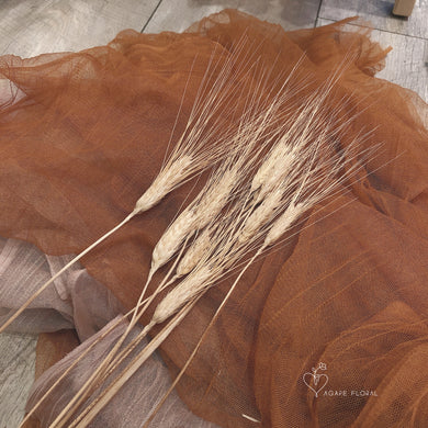 Bleached Wheat