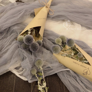 Preserved Echinops