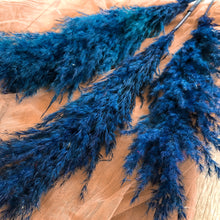 Load image into Gallery viewer, Blue Pampas