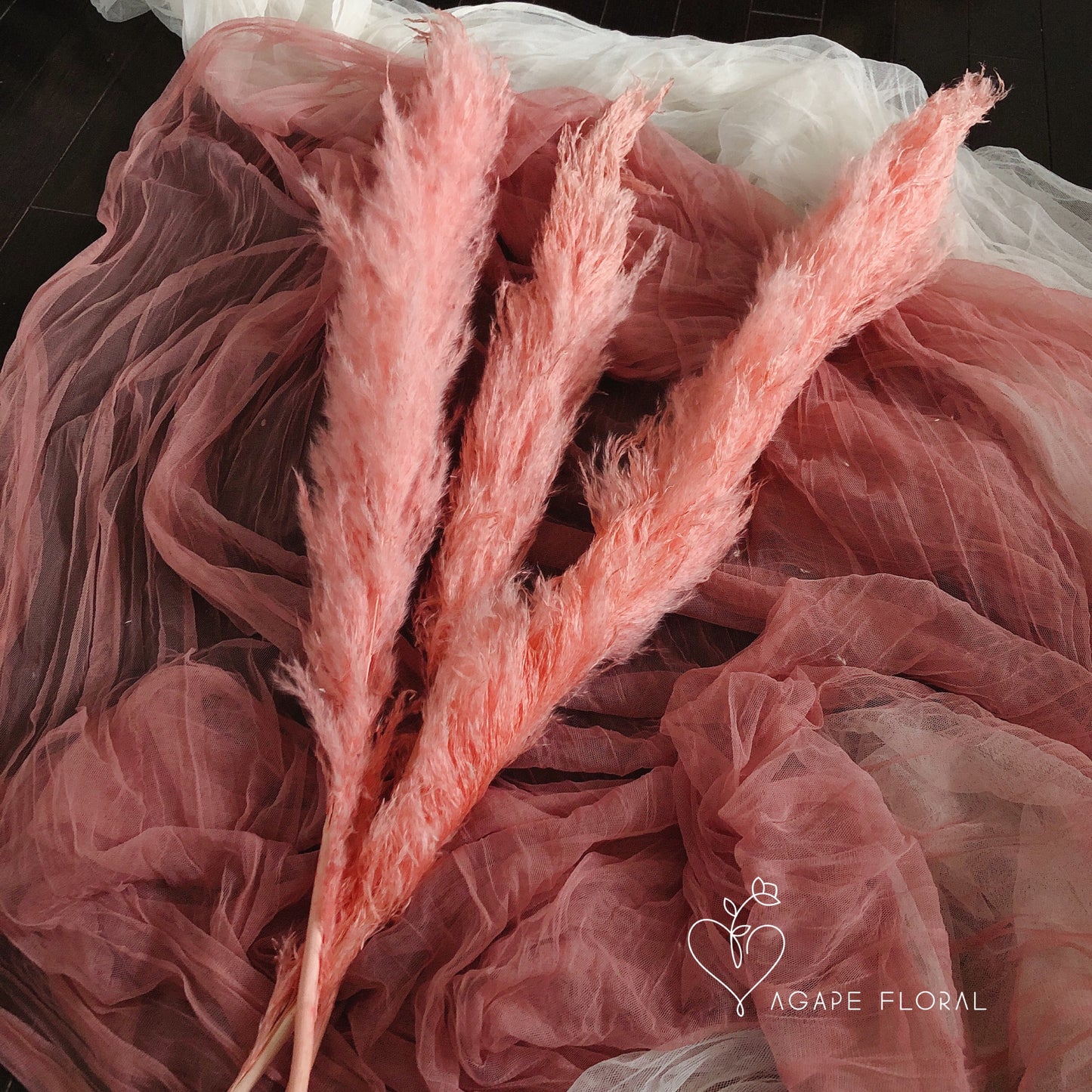 Medium Pink Pampas Grass