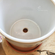 Load image into Gallery viewer, Pot Hadley