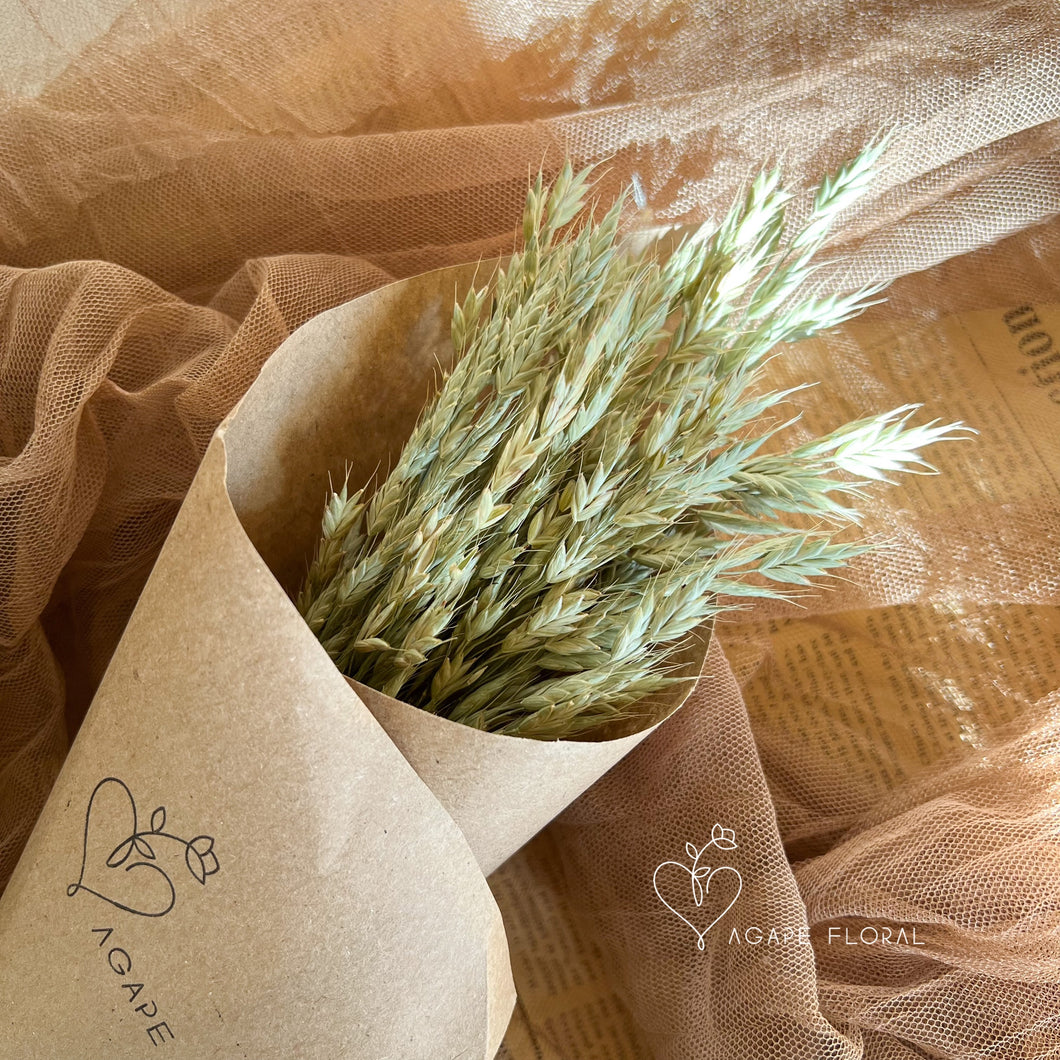 Bromus Natural