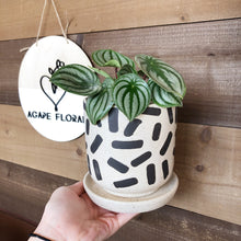 Load image into Gallery viewer, Sundae Pot