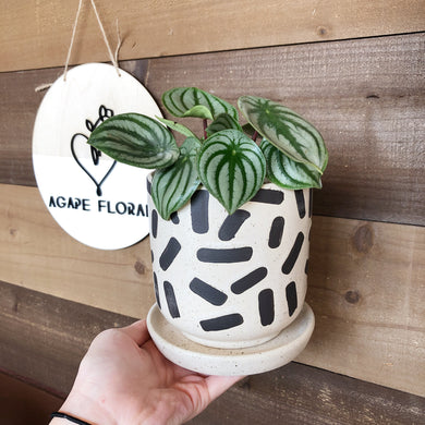 Sundae Pot