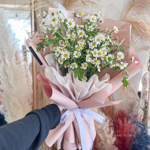 Chamomile Bouquet