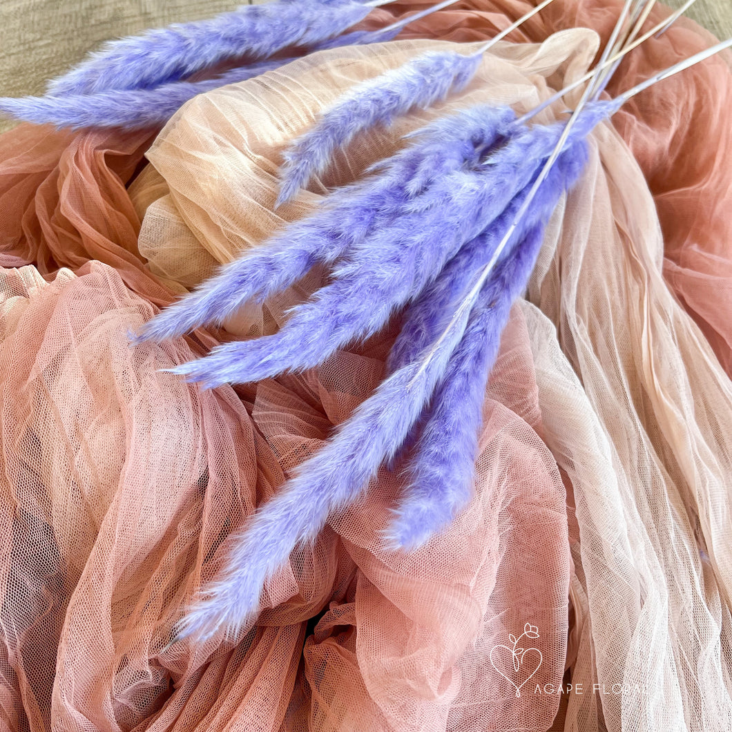 Small Lilac Pampas Grass