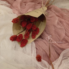 Load image into Gallery viewer, Red Phalaris