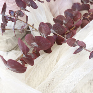 Dried & Preserved Eucalyptus Red
