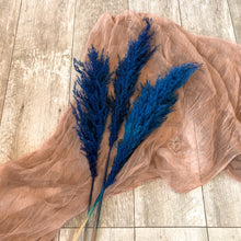 Load image into Gallery viewer, Blue Pampas