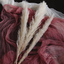 Load image into Gallery viewer, Medium White Pampas Grass