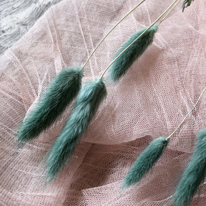 Pacific Blue Bunny Tails