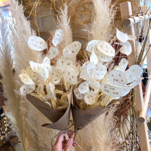 Load image into Gallery viewer, Lunaria Bleached