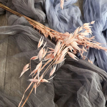 Load image into Gallery viewer, Avena Wild Pink