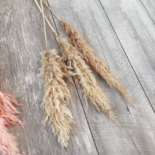 Load image into Gallery viewer, Small Cream Fluffy Pampas Grass