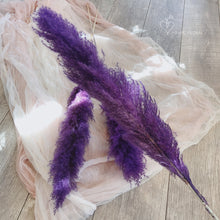 Load image into Gallery viewer, Medium Purple Pampas Grass