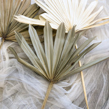 Load image into Gallery viewer, Natural Fan Palm