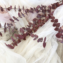 Load image into Gallery viewer, Dried &amp; Preserved Eucalyptus Red